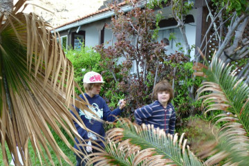 Gallery: Easter 2010 easter 2010 0013 Finca Argayall (La Gomera)