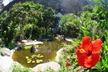 Gallery: Fincapaths 2004 round pond01 20040725 Finca Argayall (La Gomera)