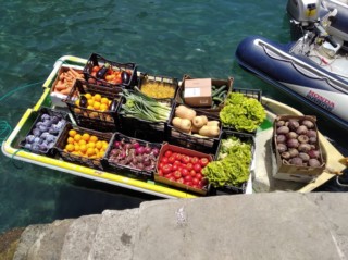 Six months later... shopping May 1 Finca Argayall (La Gomera)