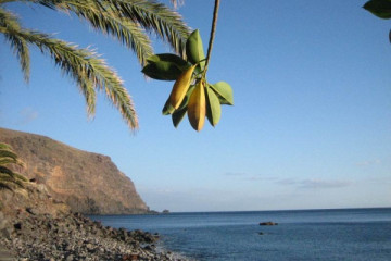 Galerie: Meerblicke 2007 meerblicke 2007 0007 Finca Argayall (La Gomera)